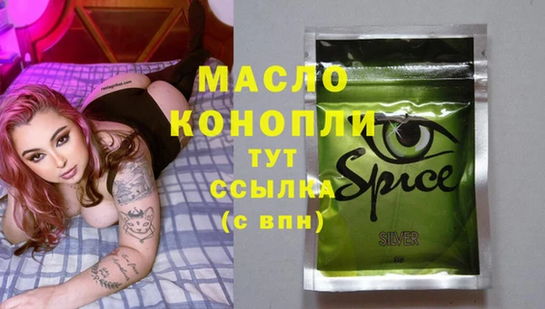 винт Абаза