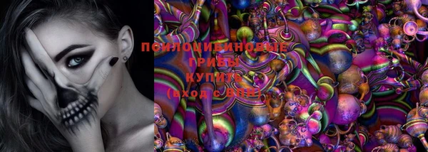 прущие грибы Абдулино