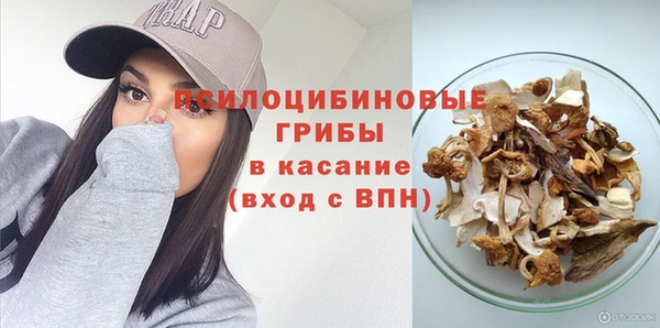винт Абаза