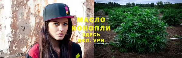 винт Абаза