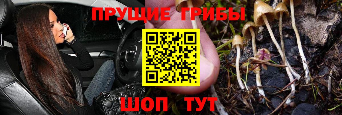 Азнакаево  Псилоцибиновые грибы GOLDEN TEACHER  Вход с VPN 